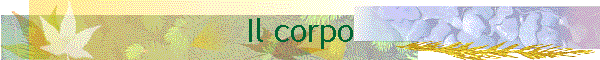Il corpo