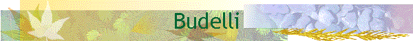 Budelli