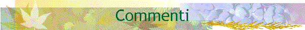 Commenti