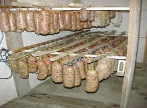 Cella stagionatura salumi fai da te